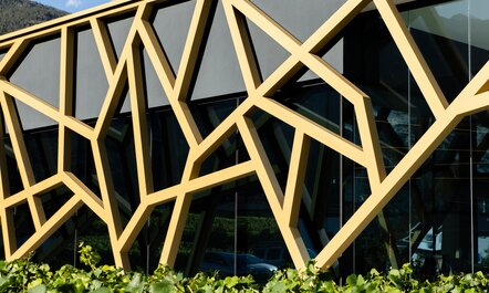 Weinkellerei Fernand Cina, Salgesch - CH | © IGP Pulvertechnik AG Seitenansicht der Weinkellerei Fernand Cina, Salgesch. Im Vordergrund sind Weinreben ersichtlich. Die Aluminiumkonstruktion wurde mit IGP Pulverlack beschichtet | © IGP Pulvertechnik AG